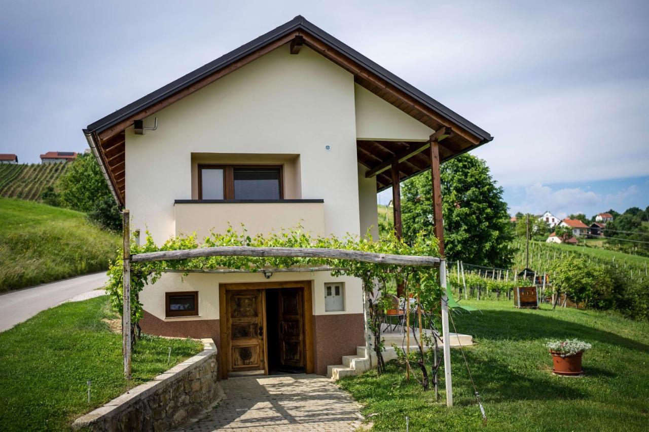 Holiday House Zlacka Gorca Pristava pri Mestinju المظهر الخارجي الصورة