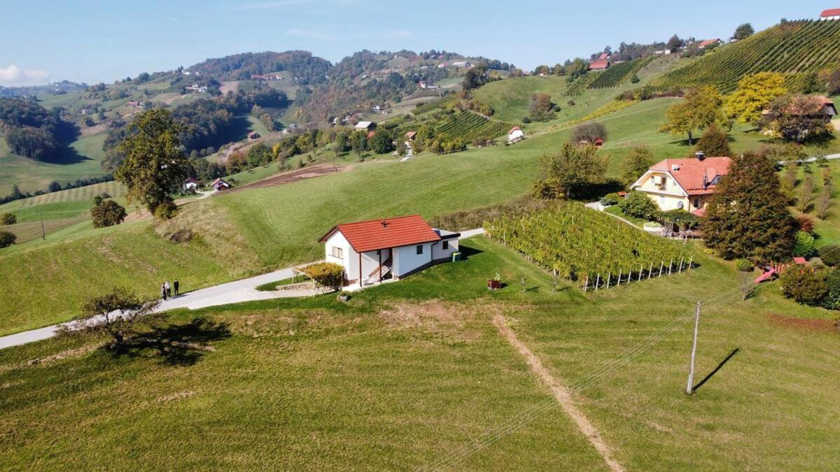 Holiday House Zlacka Gorca Pristava pri Mestinju المظهر الخارجي الصورة