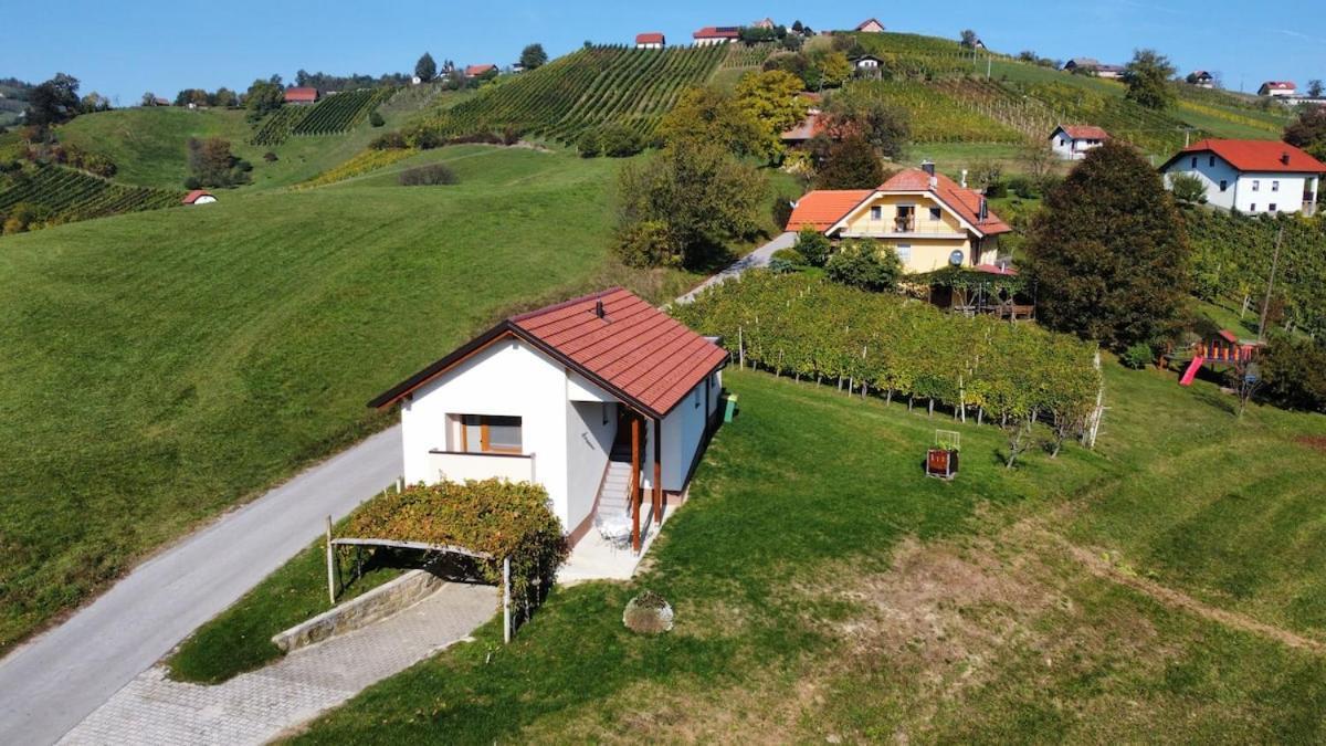 Holiday House Zlacka Gorca Pristava pri Mestinju المظهر الخارجي الصورة