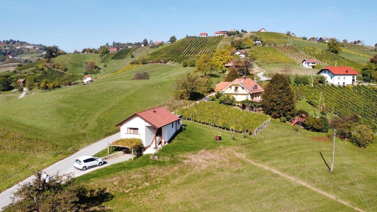 Holiday House Zlacka Gorca Pristava pri Mestinju المظهر الخارجي الصورة