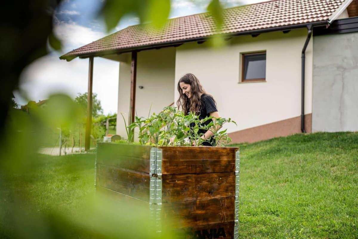 Holiday House Zlacka Gorca Pristava pri Mestinju المظهر الخارجي الصورة